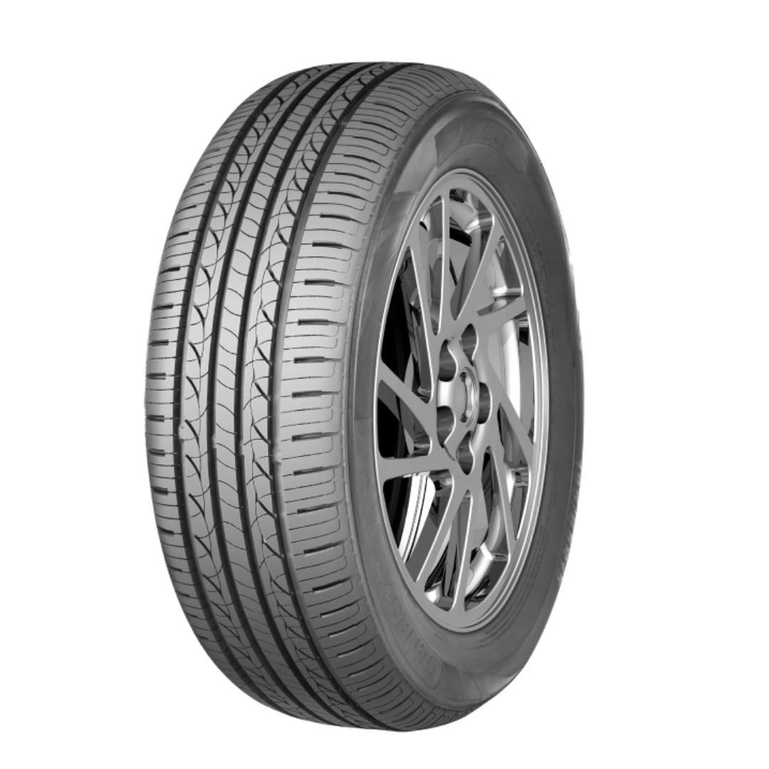 155/65R13 AUTOGRIP P308+ 73T H/T